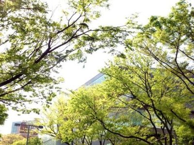 第２回 Gyne Yoga 開催場所決定