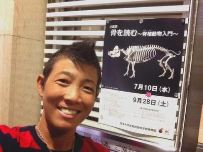 進化と退化を経て