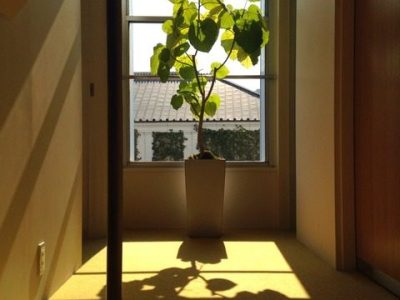 春の足音