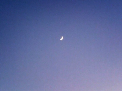 どんなお月さまが好きですか？