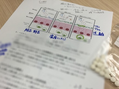乳酸菌をいかすために～ポストバイオティクスの考えから