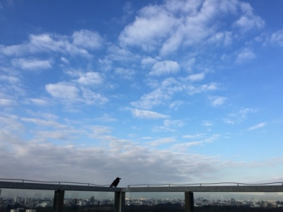 鳥のような自由さを