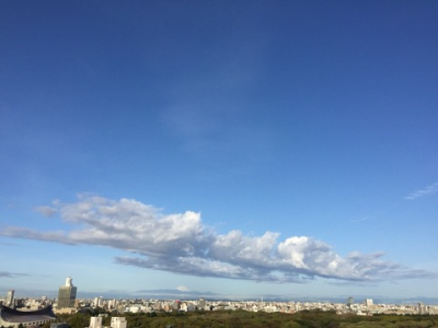 風の流れに任せてみよう