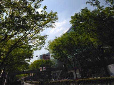ゴールデンウィークの朝
