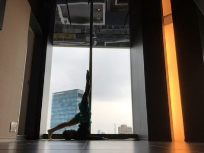 気持ちに揺さぶられない毎日を