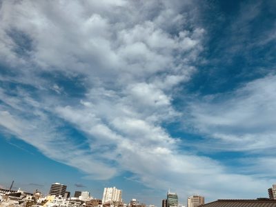 これから何する？